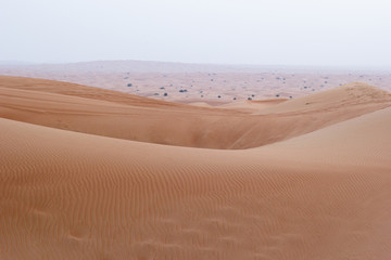 orange sands in the desert