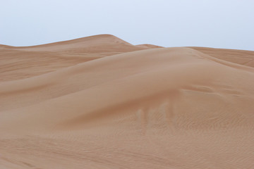 Fototapeta na wymiar orange sands in the desert