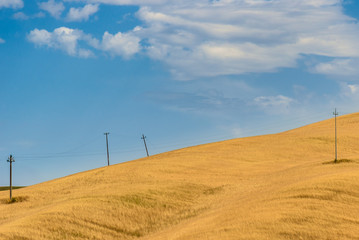 Obraz premium Lands of Tuscany in the Province of Siena Italy