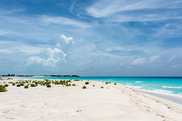 Tropical seascape of  