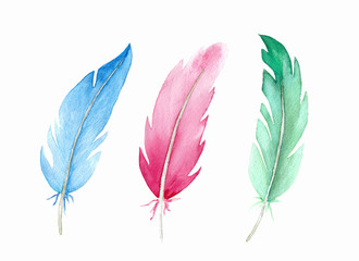 Watercolor multicolored feathers on white background. Hand drawn watercolour bird feather bright illustration.