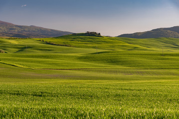 Lands of Tuscany in the Province of Siena Italy