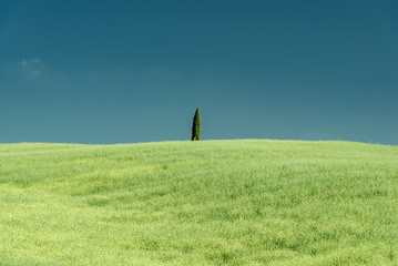 Lands of Tuscany in the Province of Siena Italy