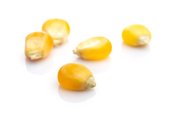 Raw Corn Seeds or Corn kernels isolated on white. Yellow Sweet grain popcorn - agriculture background. Detailed macro photo.