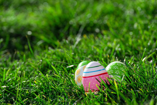 easter eggs on green grass