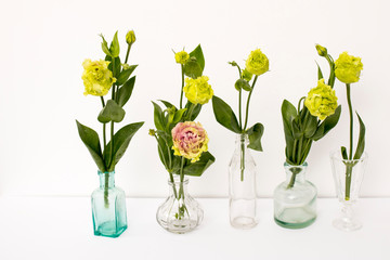 Bouquet of green and pink terry lisianthus in a transparent round vases and bottles on a white background.