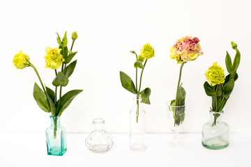 Bouquet of green and pink terry lisianthus and eucalyptus branches in a transparent round vase on white background. Bride bouquet