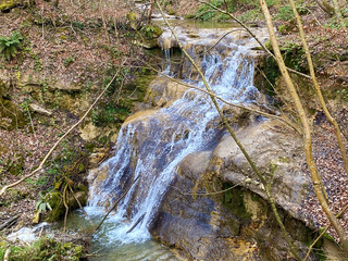 Waterfalls and cascades on the Erlenbach creek and in the Erlenbacher-Tobel ravine during early...