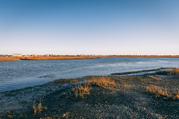 shore of swamp in south carolina with house in distance