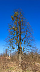 road, highway, sky, asphalt, landscape, travel, blue, way, clouds, car, rural, nature, street, field, country, horizon, green, freeway, line, traffic, drive, cloud, route, grass, transportation, sunse