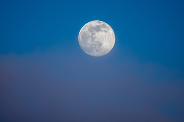 Fototapeta na wymiar Full moon photographed on an early spring evening.