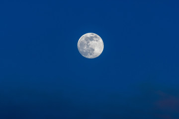 Naklejka na ściany i meble Full moon photographed on an early spring evening.