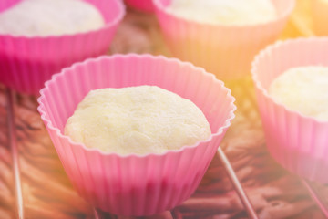 pink cupcakes in the sun