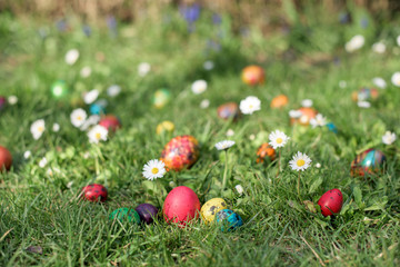 Easter hunt - different color eggs in a back yard
