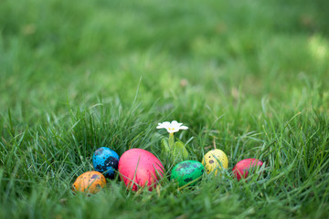 Easter hunt - different color eggs in a yard