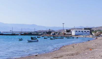Fototapeta na wymiar Tadjoura, Djibouti - November 09, 2019: Palms and Boats on the Sea Coastline under Blue sky