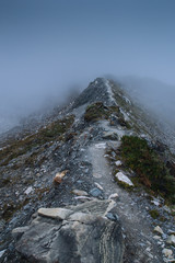Misty mountain road in Nepal