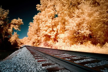Low angle shot of a railroad going through the magnificent trees shot in infrared