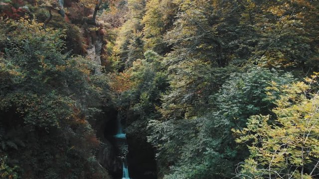 Aerial drone view ascending a leafy waterfall in the middle of the forest