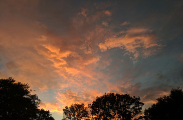 Obraz premium Fiery Sunset Over the Trees