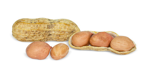 Dried peanuts on the white background.