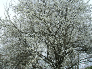 Ukraina rzeka Dniestr