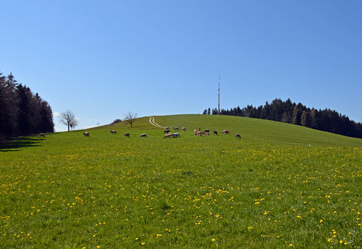 Michaelskreuz bei Root, Anh&ouml;he mit Funkmast, Kanton Luzern, Schweiz