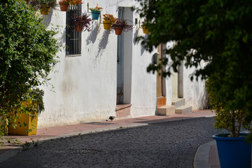 Deserted typical andalusian street on a sunny day in summer