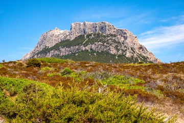 Panoramic view of cliffs and slopes of main massif, Monte Cannone peak, of Isola Tavolara island seen from Spalmatore di Terra nature reserve on Tyrrhenian Sea off northern coast of Sardinia, Italy