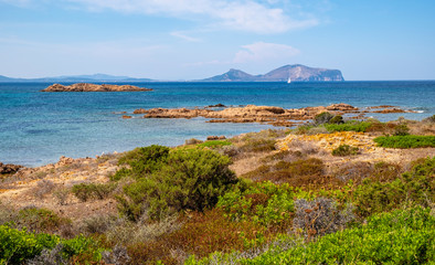 Marine Protected Area natural reserve with seashore rocks of Isola Tavolara island on Tyrrhenian...