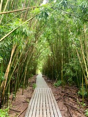 Obraz premium Bamboo forest wooden path in the road to Hana, Maui