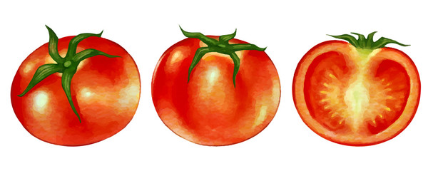 トマト　とまとのイラスト