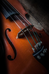 Fototapeta premium violin bridge detail view with strings