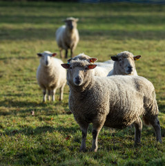 Stuff, to, title, and, keyword