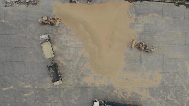 Farmer or worker driving bulldozer moving paddy rice to warehouse.Rice mill industry after harvesting.Rice cultivate activity