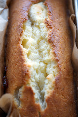 Homemade Delicious Cupcakes Closeup