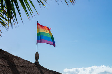 LGBT rainbow flag on a rooftop next to a palm tree