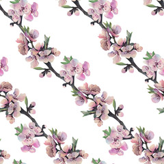 Watercolor seamless pattern with sakura flowers.