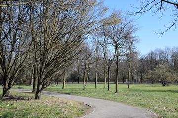 Strada nel parco