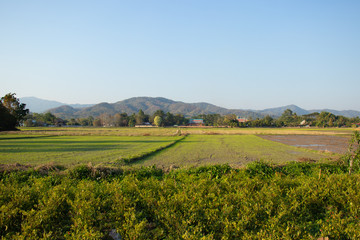Fototapeta na wymiar A beautiful view of Chiang Rai city and its nature at Thailand.