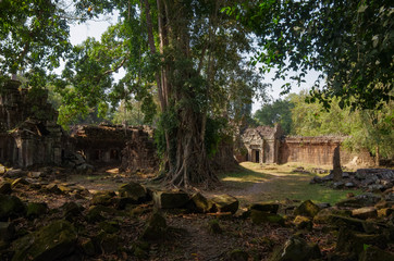 Preah Khan Temple, Angkor Wat Temple Complex, Cambodia.