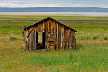 Old derelict pioneer cabin on Goose Lake, California