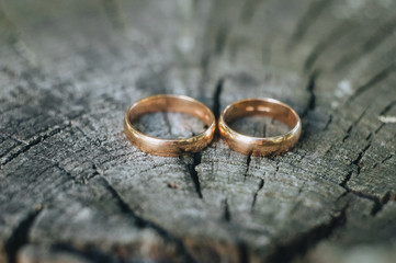 Wedding gold rings lie on a wooden log close-up. Photography, concept.