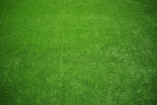 Full Frame Shot Of Grass