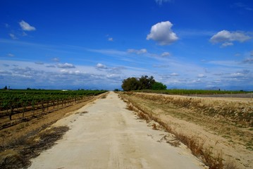 Fototapeta premium Old Country Dirt Road