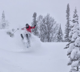 Freerider is buried in fresh snow, turning and jumping between the trees. freeride skiing in deep powder snow. Chest deep snow during snow storm. Good powder day. Funny skiing, rides over off-piste