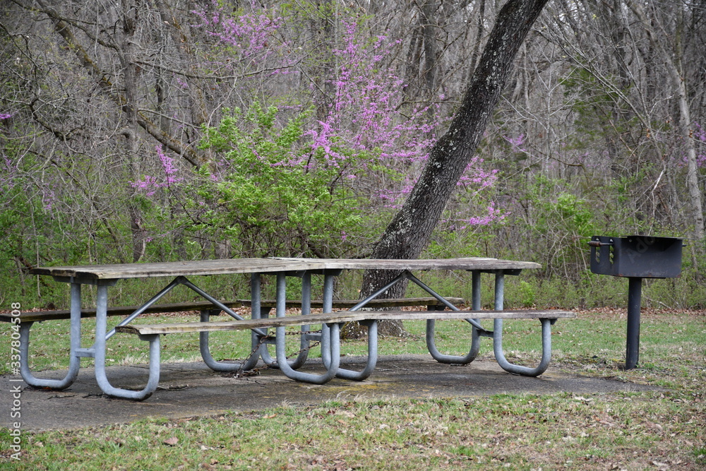 Poster picnic tables in a park