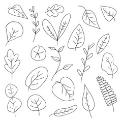 hand-drawn doodle vector leaves Set