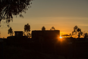 sunset, sunrise, farm, field, fazenda, amanhecer, por do sol, arvore, tree, cow, vaca, truck, machine, tractor, trator