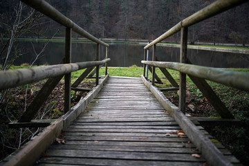 Obraz premium wooden bridge in the forest